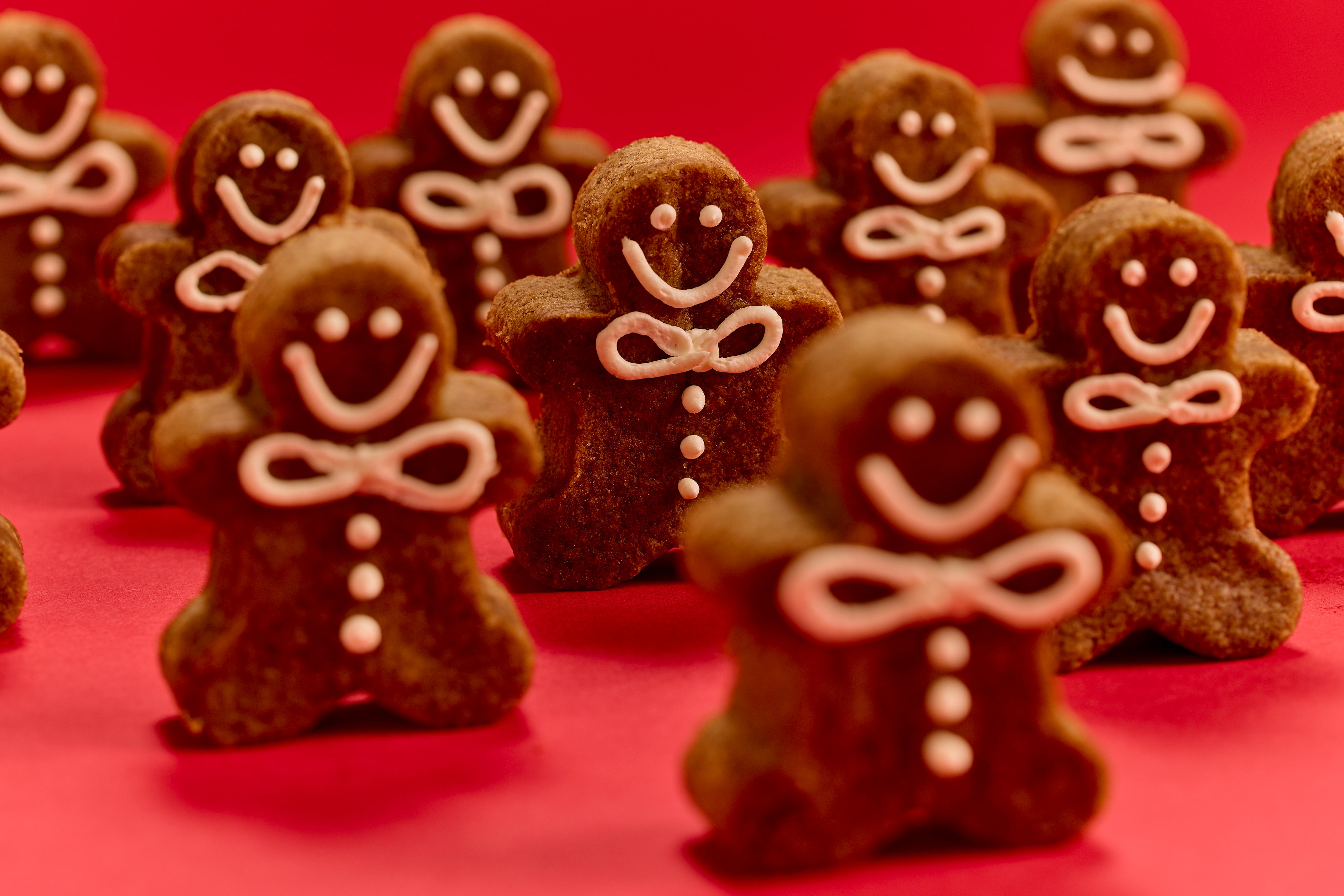 Gingerbread slice